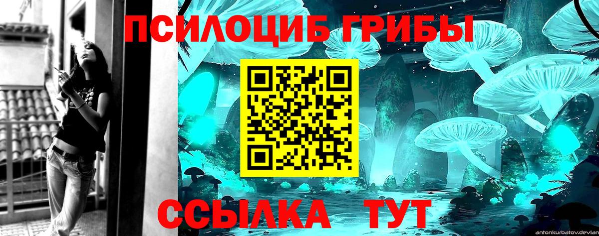 Псилоцибиновые грибы MAGIC MUSHROOMS  Галлюциногенные грибы Cubensis  Вход с VPN  Кропоткин 